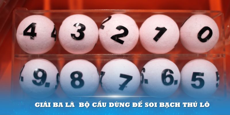 TP Bắn cá