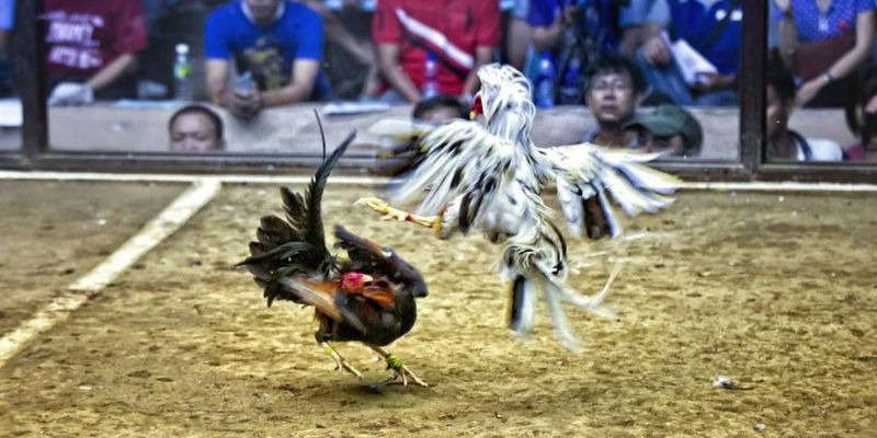 fb88 ﻿đăng nhập lô đề uy tín
