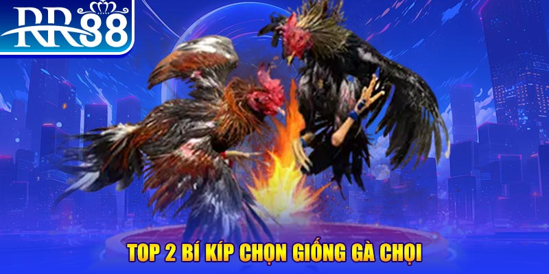 fb88 bắn cá h5