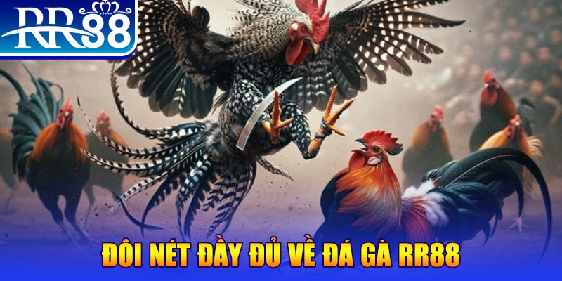 fb88 gà chọi hoà phong