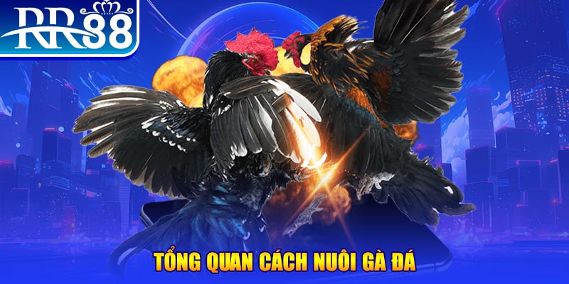 fb88 xổ số thứ ba