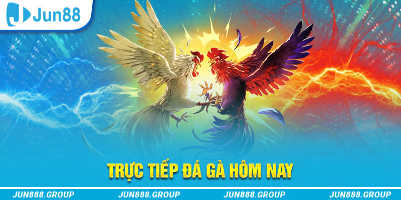 fb88 trực tiếp đá gà thomo