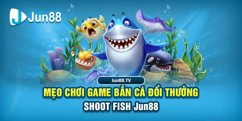 fb88 tải game đánh bài online về máy tính