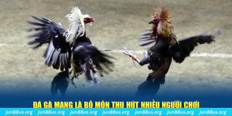 fb88 xổ số long an
