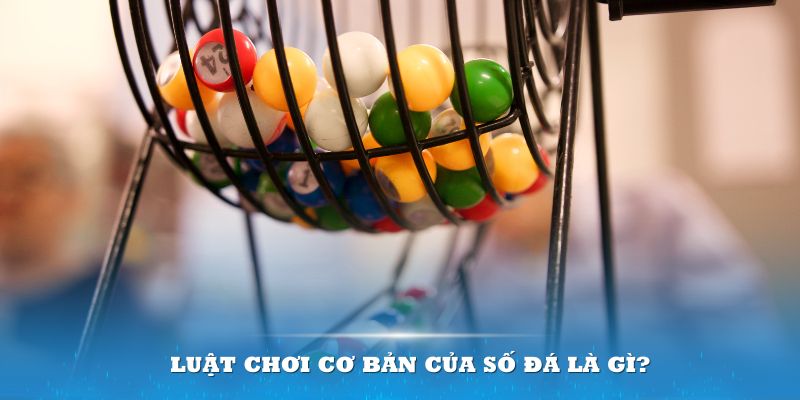fb88 Đĩa màu ace