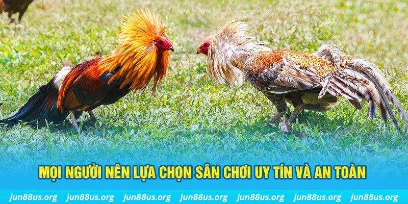 fb88 Tài Xỉu