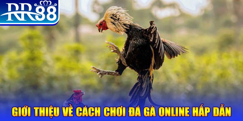 fb88 what is a video slot