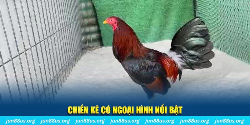 fb88 nhạc slot là gì